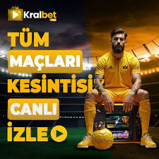 Spor Bahisleri